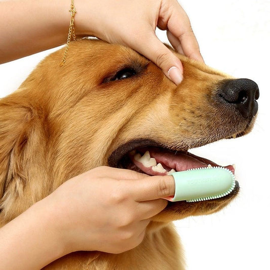 Pet Products Tooth Cleaning Finger Set