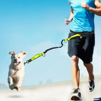 Multifunctional Pet Traction Rope – Adjustable Waist Belt for Dogs (70-260cm)